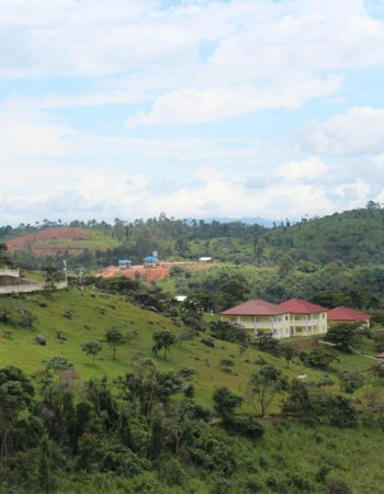 Saddle Hill Ranch Mountain Resort