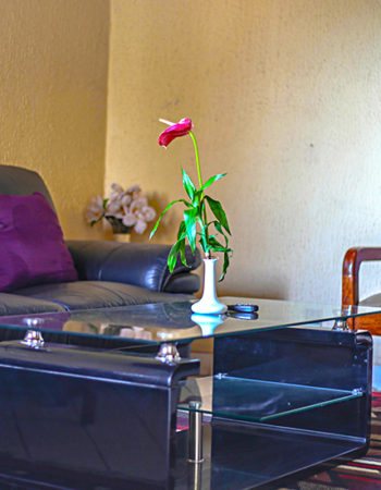 FIRST INTERNATIONAL INN HOTEL
