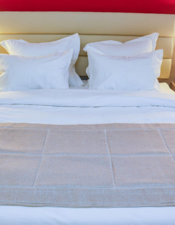 Merina Hotel